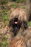 BRIARD 224